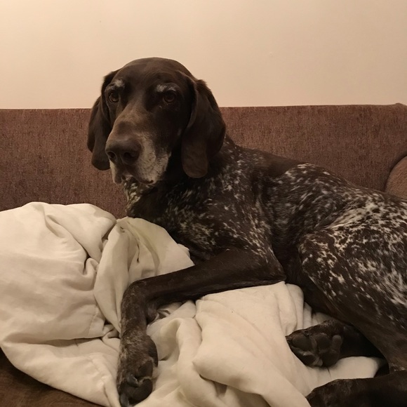 Meet your Posher, Amanda - Picture 1 of 1